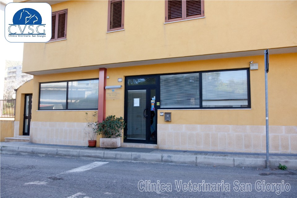 Clinica Veterinaria San Giorgio di Reggio Calabria