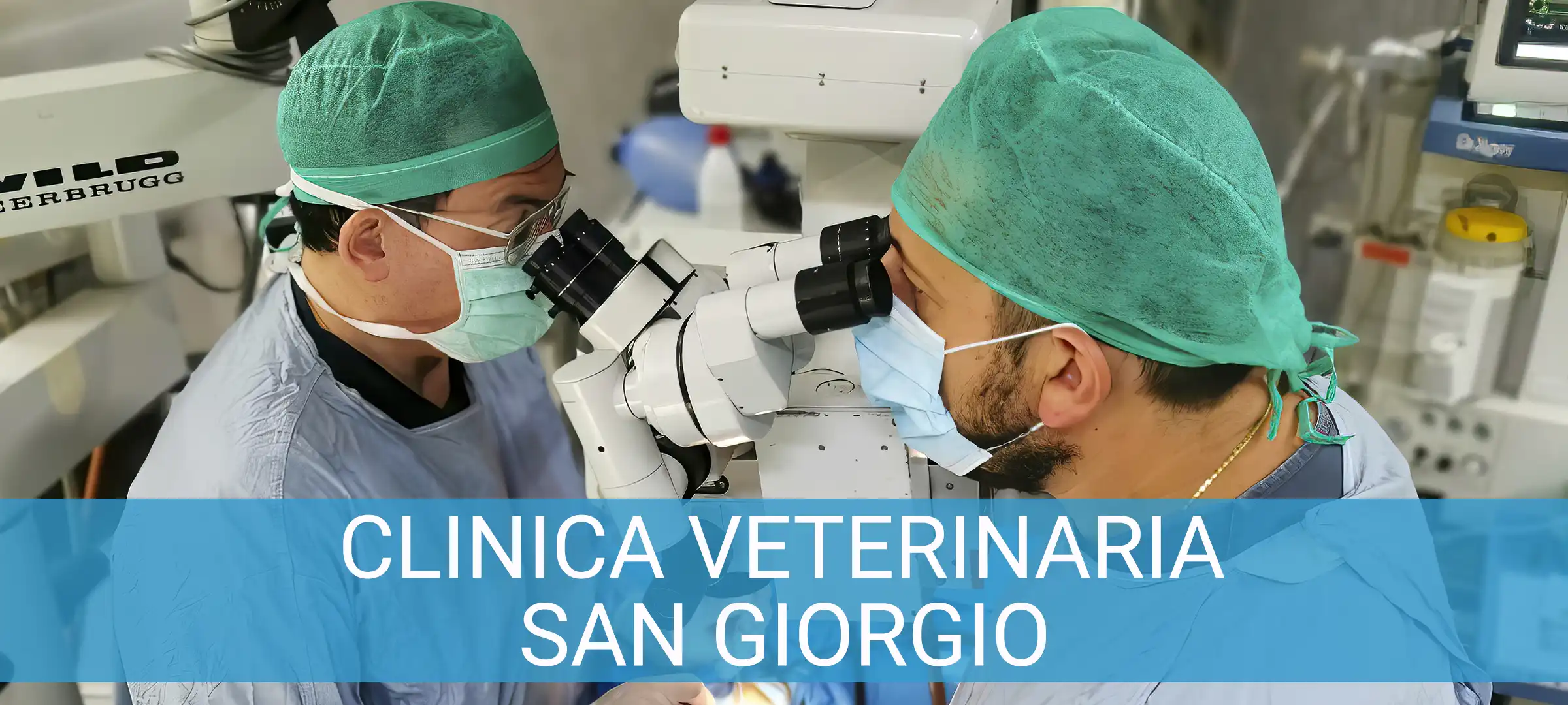 Clinica Veterinaria San Giorgio a Reggio Calabria
