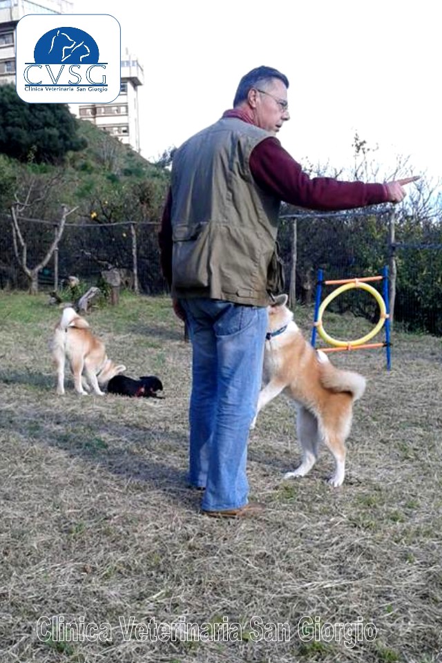 Servizio di Medicina Comportamentale Veterinaria - Clinica Veterinaria San Giorgio a Reggio Calabria