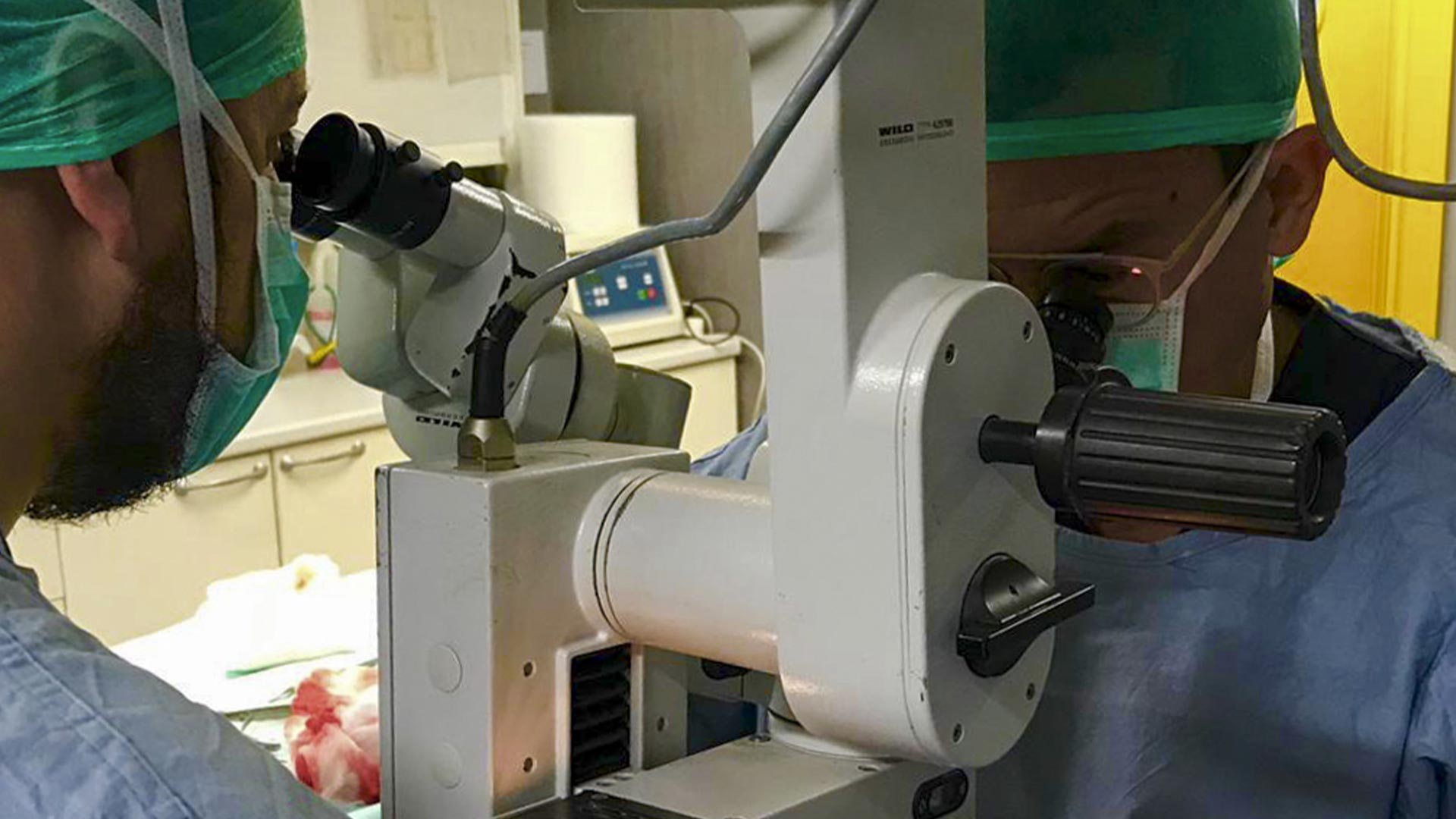 Servizio di Neurochirurgia Veterinaria - Clinica Veterinaria San Giorgio a Reggio Calabria