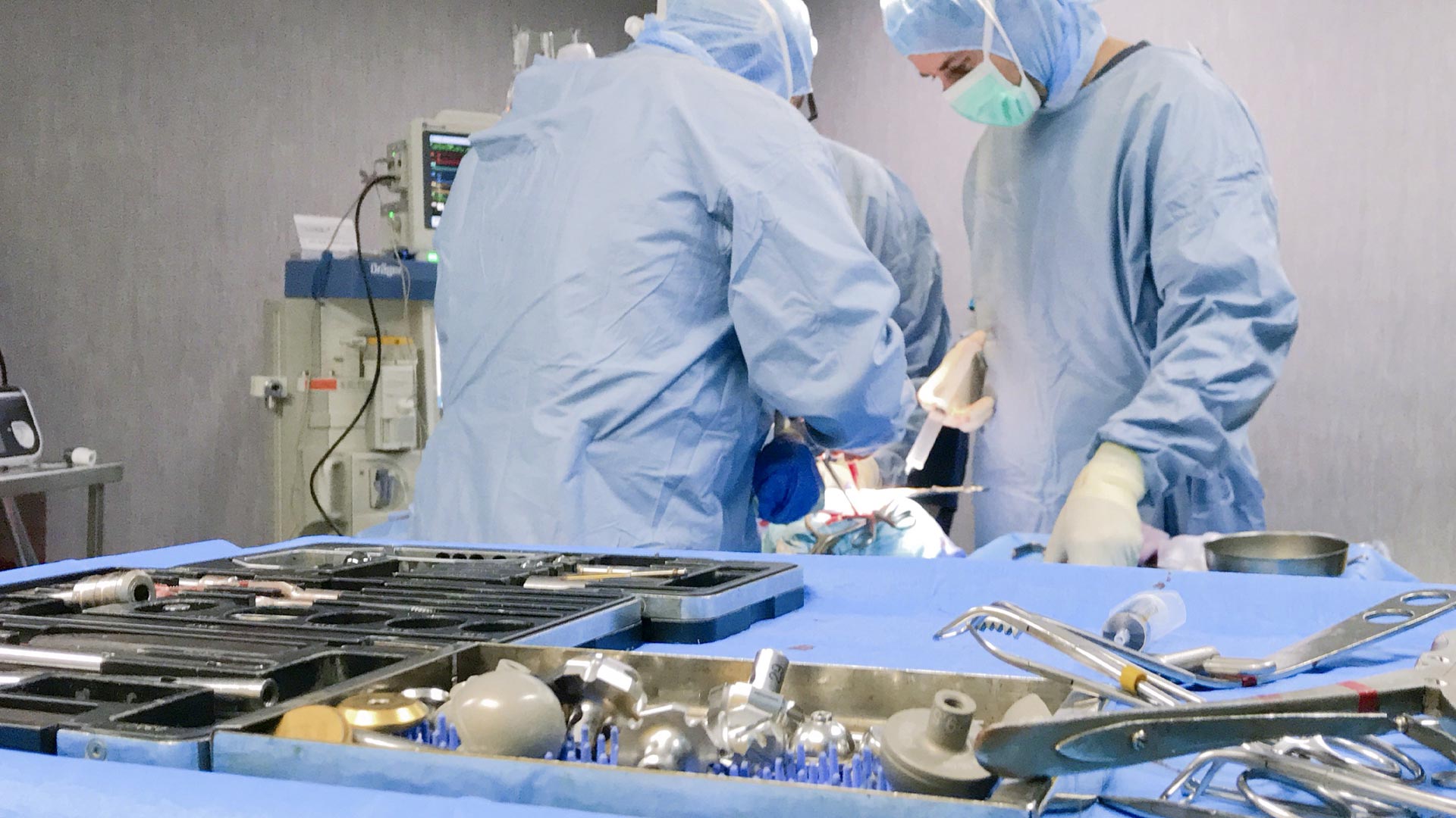 Servizio di Ortopedia e Traumatologia Veterinaria - Clinica Veterinaria San Giorgio a Reggio Calabria