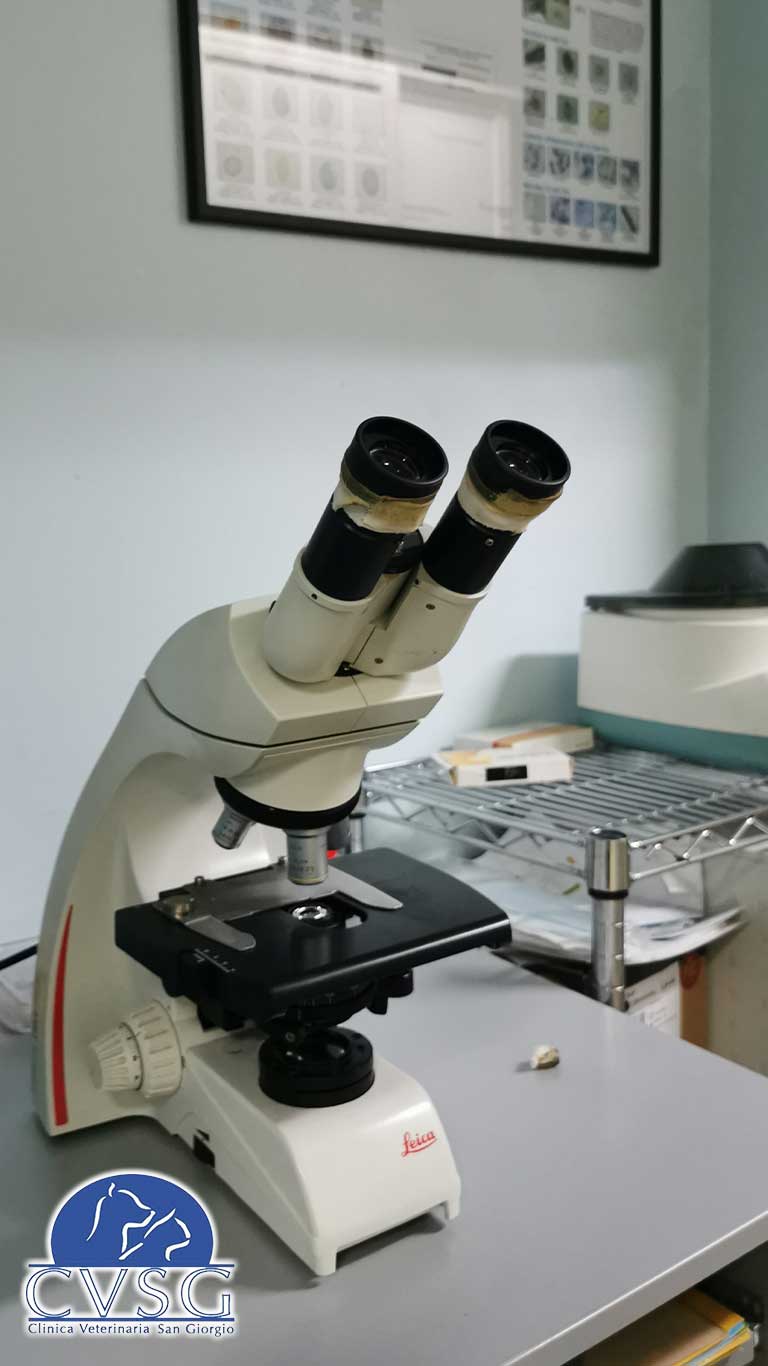 Attrezzatura della Clinica Veterinaria San Giorgio