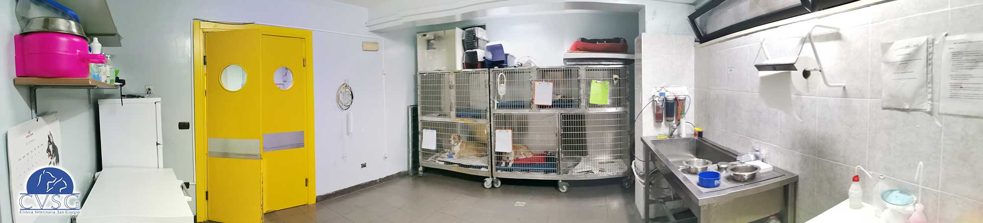 Ambiente della Clinica Veterinaria San Giorgio