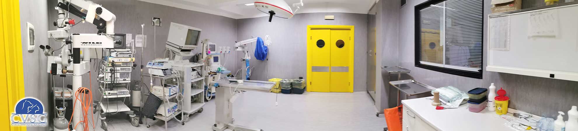Ambiente della Clinica Veterinaria San Giorgio