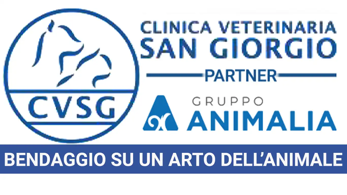 Con fare con un bendaggio su un arto