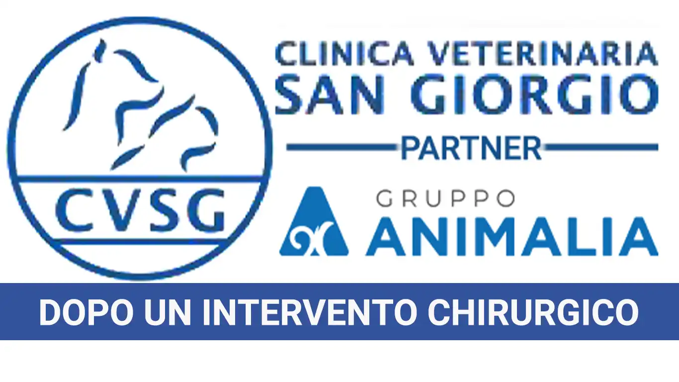 Cosa fare dopo un intervento chirurgico