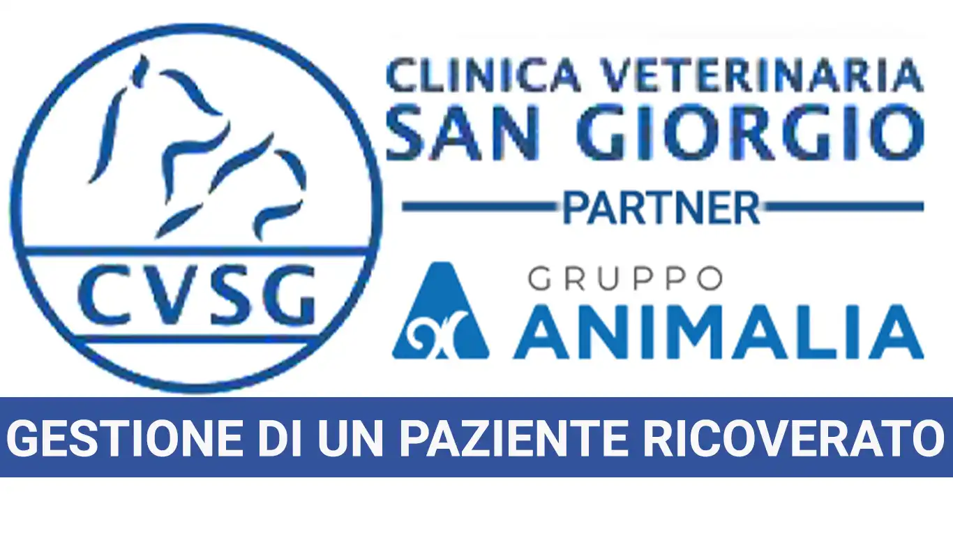 La gestione di un paziente ricoverato