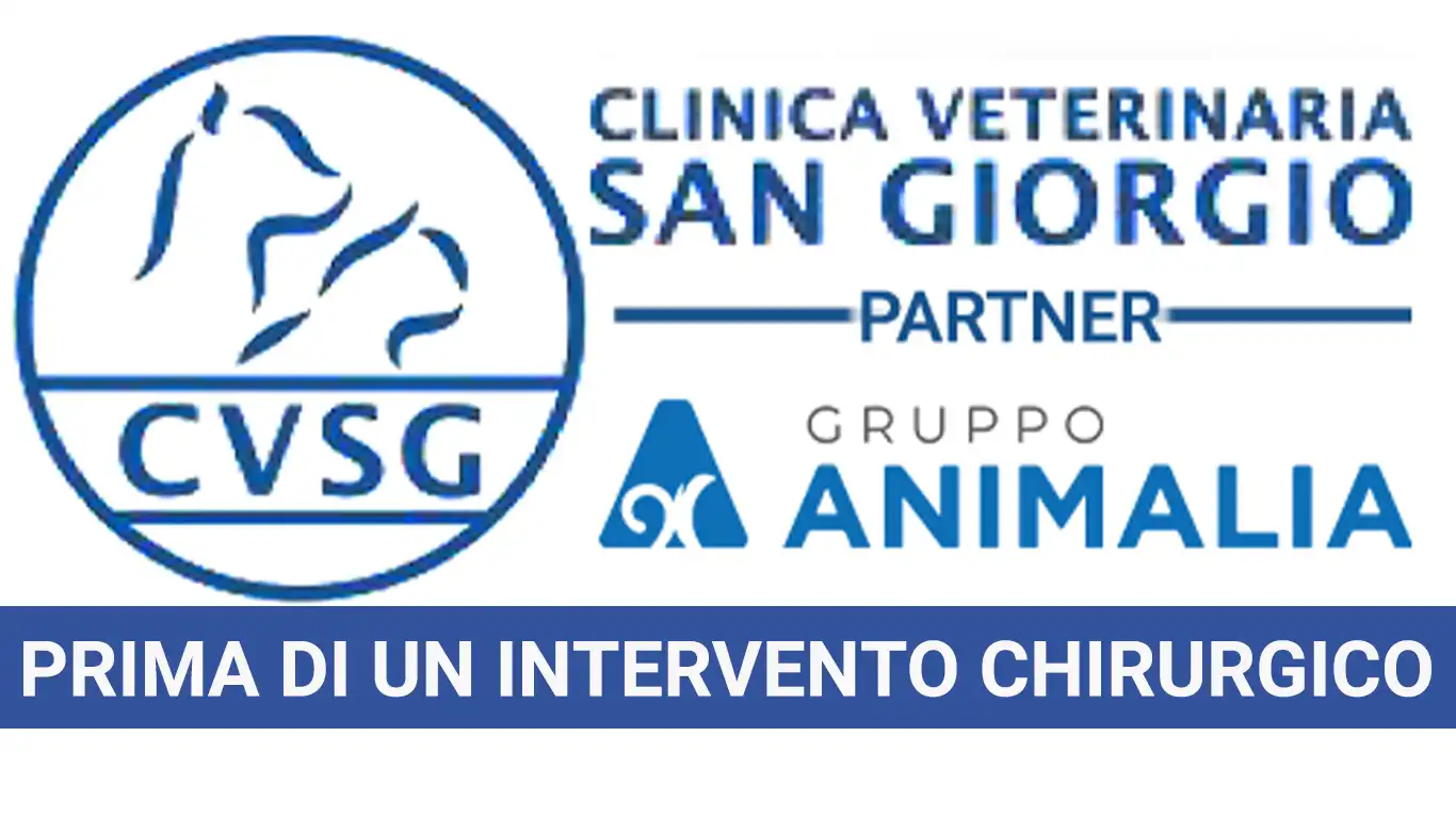 Cosa fare prima di un intervento chirurgico