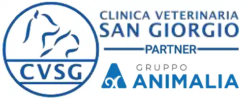 Clinica Veterinaria San Giorgio - Reggio Calabria