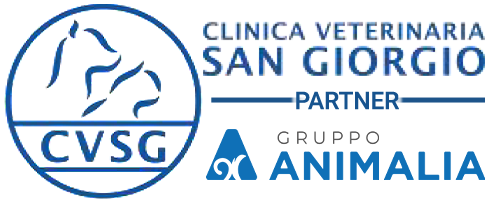 Clinica Veterinaria San Giorgio a Reggio Calabria