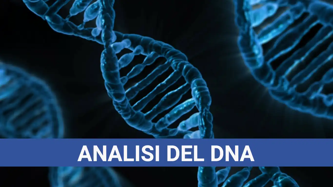 Analisi del DNA