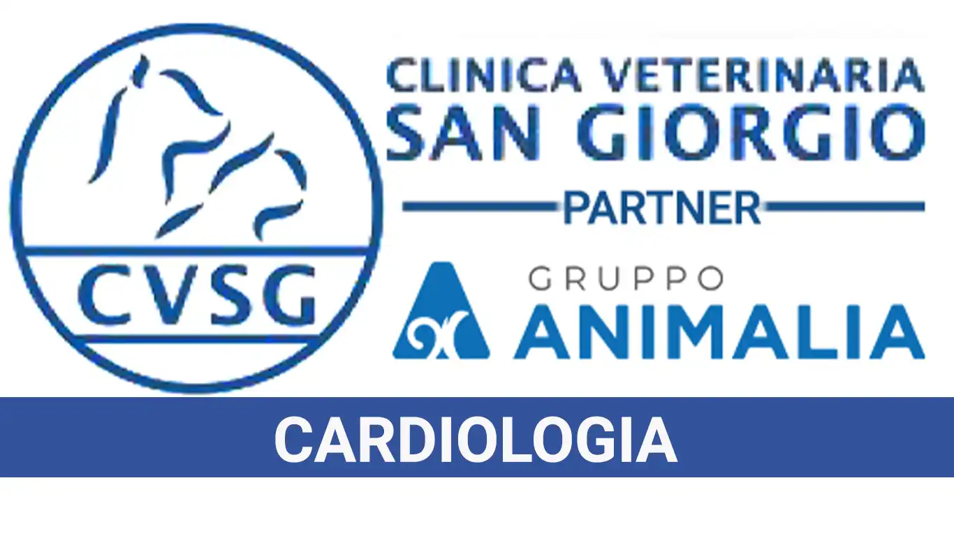 Cardiologia