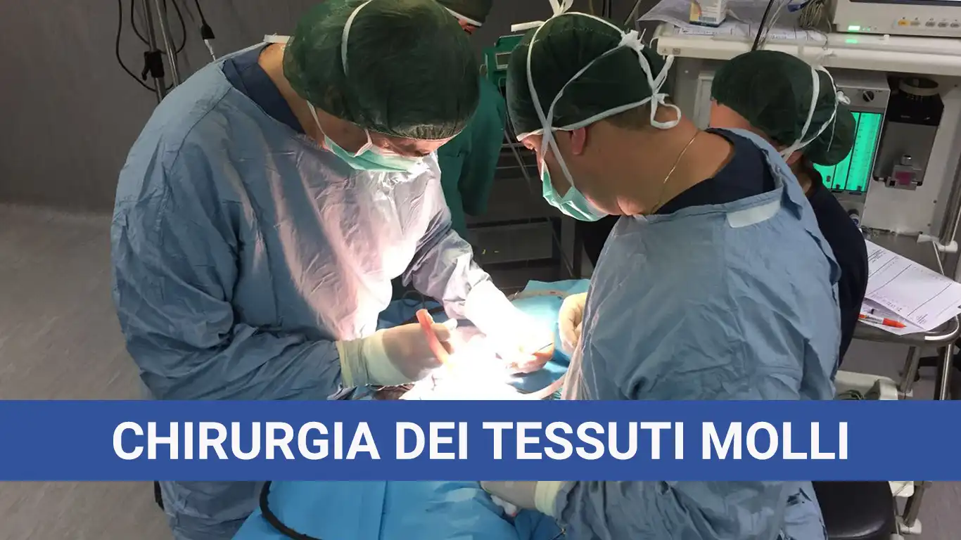 Chirurgia dei Tessuti Molli