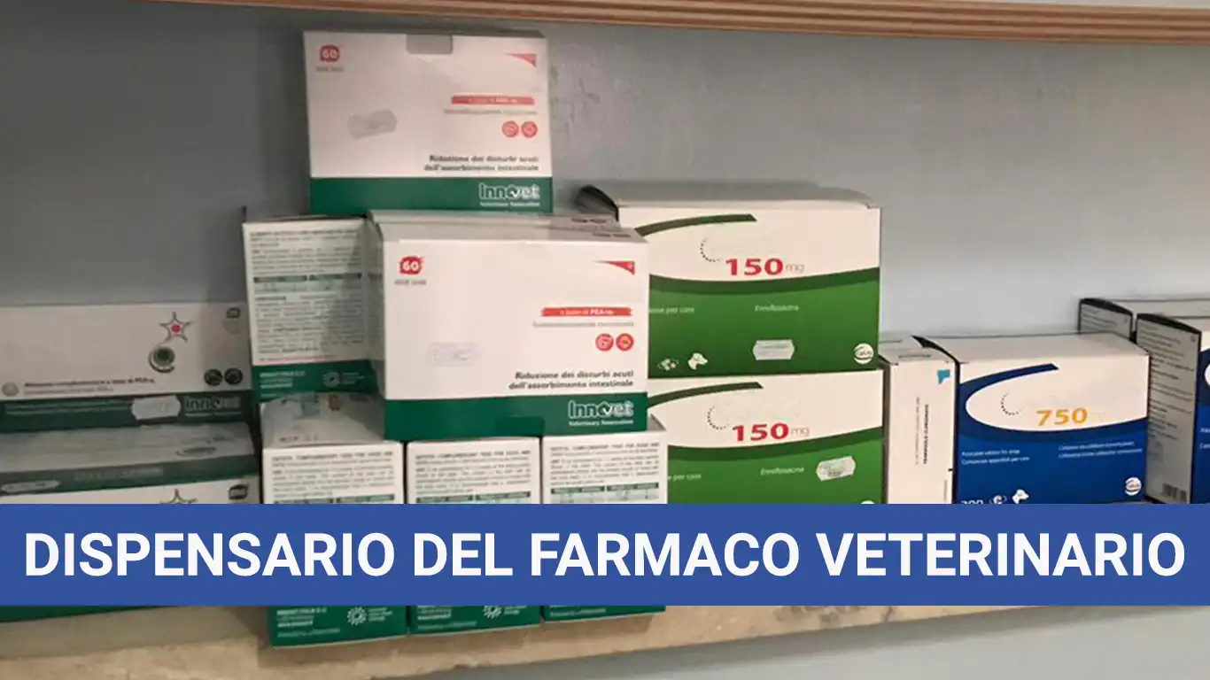 Dispensazione del Farmaco Veterinario