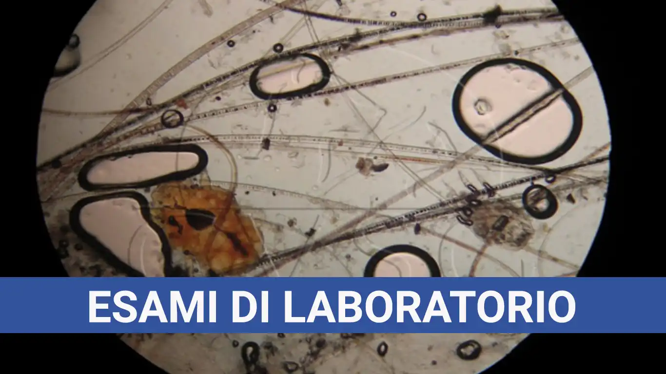 Esami di Laboratorio