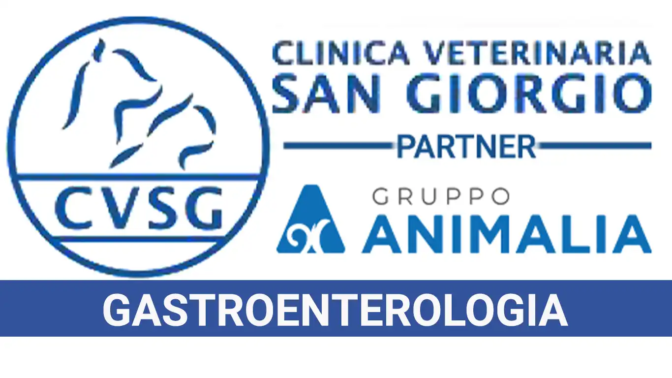 Gastroenterologia