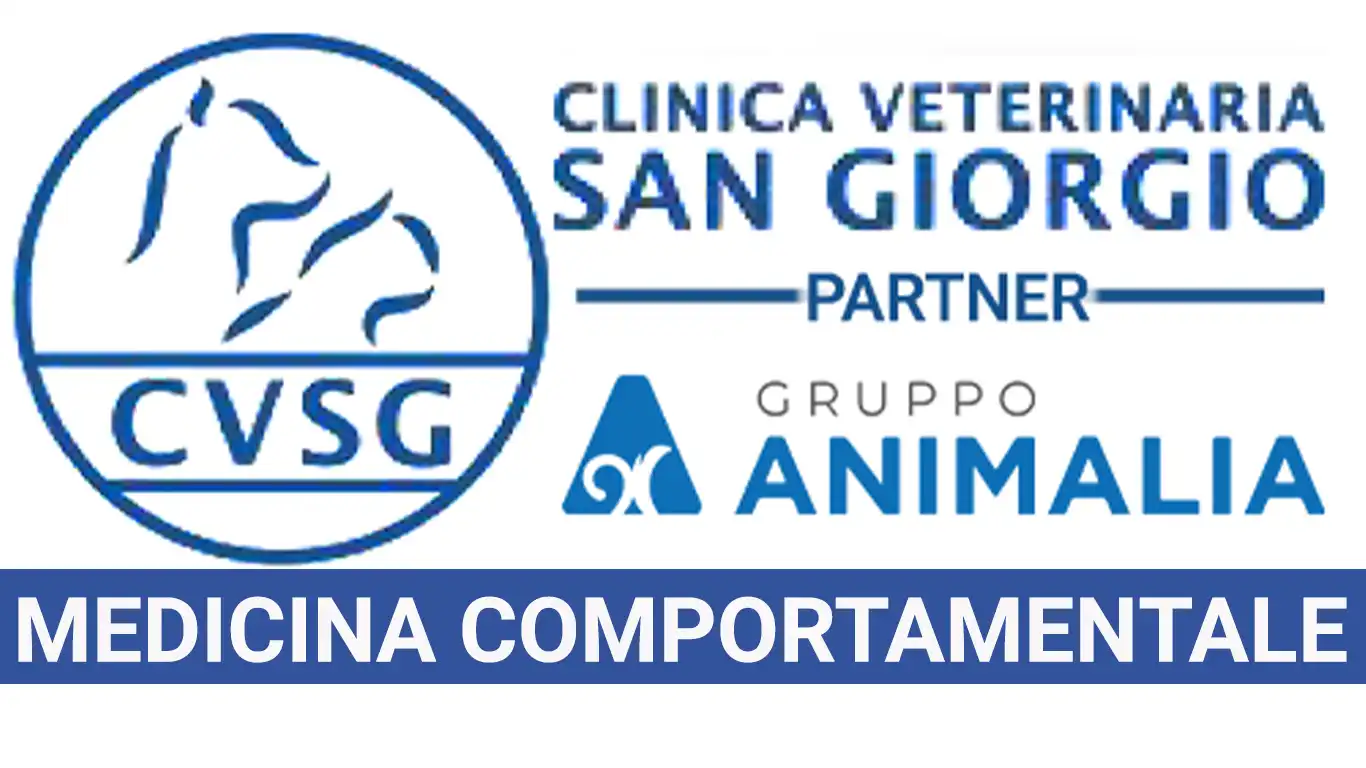 Medicina Comportamentale