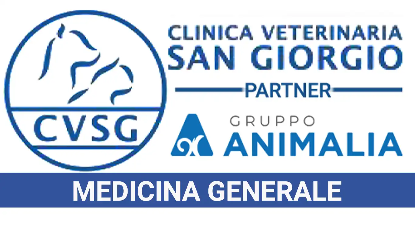 Medicina Generale