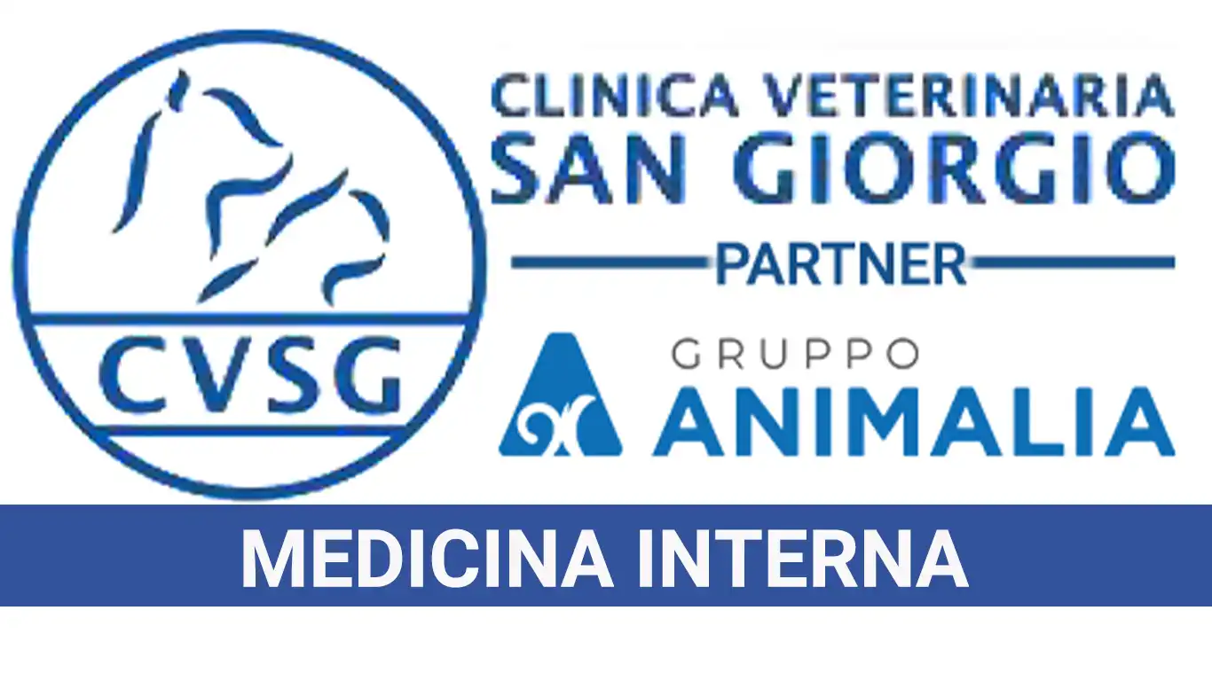 Medicina Interna