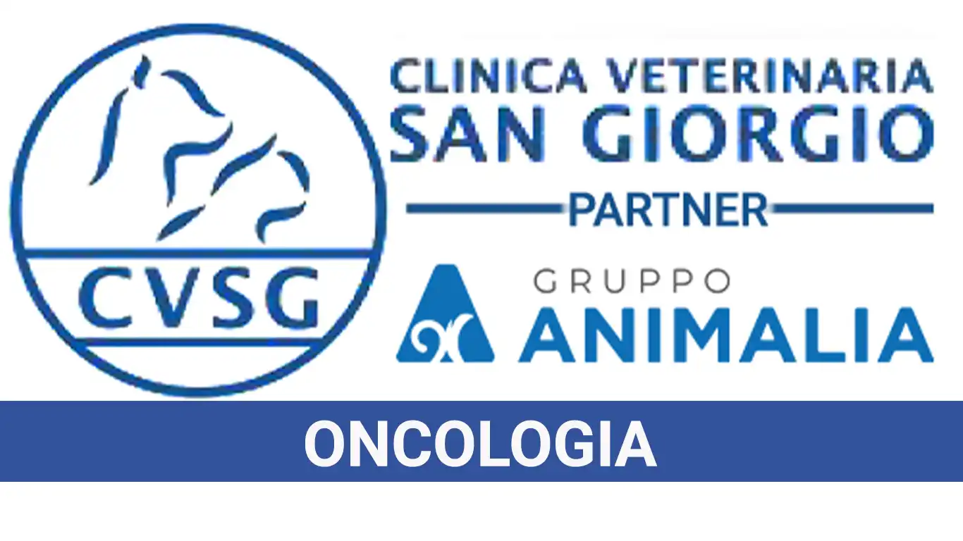 Oncologia