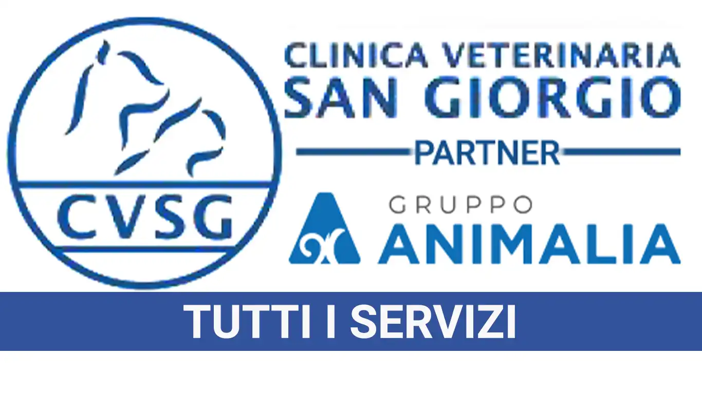 Tutti i Servizi
