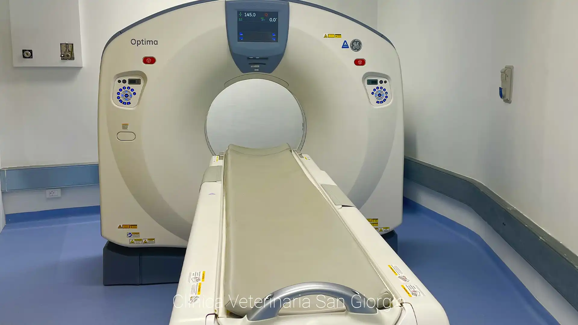 Servizio di Tomografia Computerizzata (TAC) Veterinaria - Clinica Veterinaria San Giorgio a Reggio Calabria