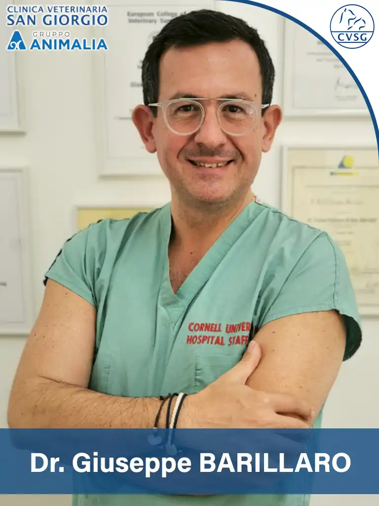 Dr. Giuseppe BARILLARO